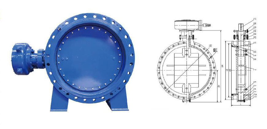 Double Eccentric Valve