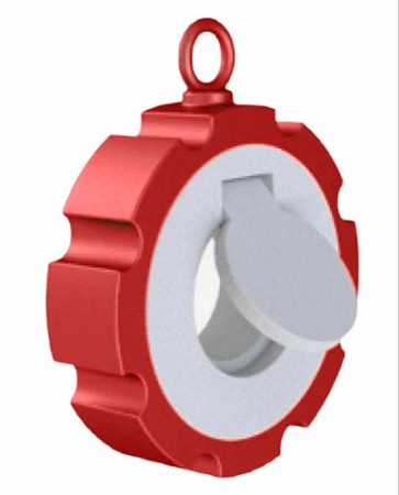 PTFE Lined Swing Check